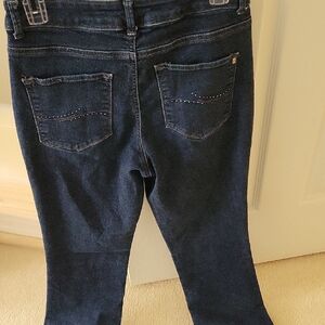 Lee Women's Deep Indigo Skinny Jeans